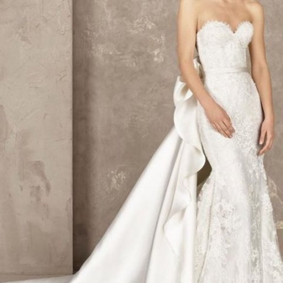 Pronovias Yoisi Wedding Dress - Picture 2 of 4